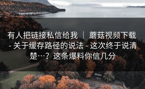 有人把链接私信给我 ｜ 蘑菇视频下载 - 关于缓存路径的说法 - 这次终于说清楚…？这条爆料你信几分