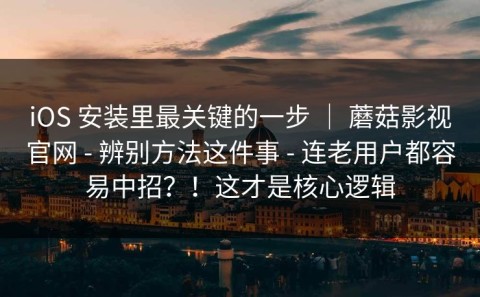 iOS 安装里最关键的一步 ｜ 蘑菇影视官网 - 辨别方法这件事 - 连老用户都容易中招？！这才是核心逻辑